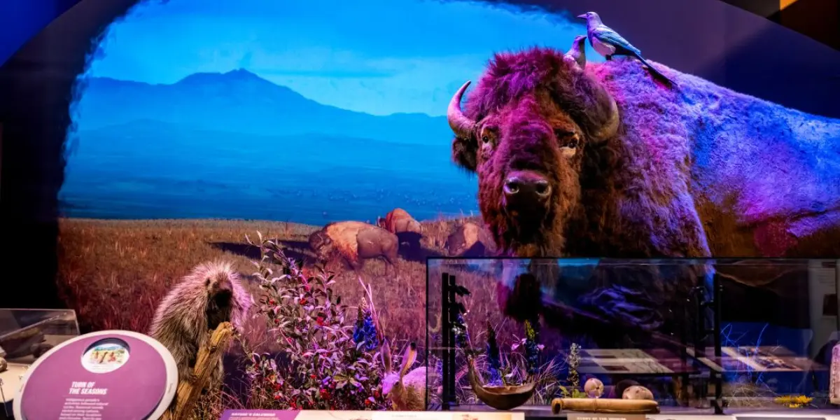 Christie Projectors Help Power Immersive Storytelling at Montana Heritage Center